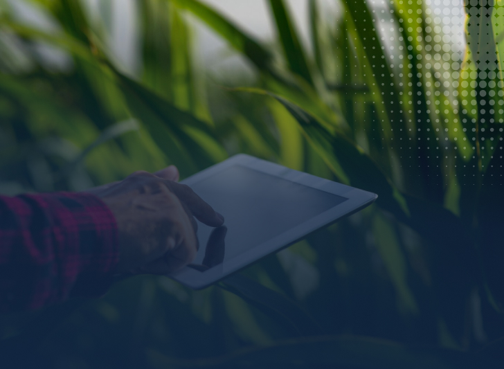 Amplie sua distribuição de seguros para o agronegócio com nossa rede estratégica e expertise no setor. Conectamos seguradoras a clientes qualificados, facilitando a oferta de proteção financeira com eficiência e alcance.