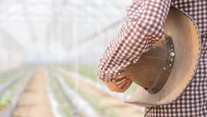 imagem de um agricultor em um ambiente de estufa usando um chapeu