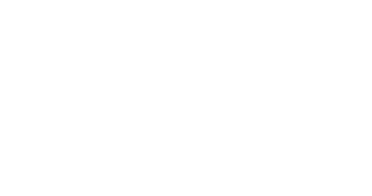 CAMPO CAPITAL