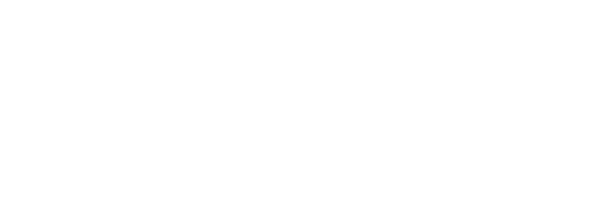 RAIZ
