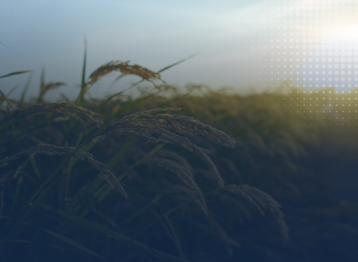 Proteção completa ao agronegócio, garantindo segurança e continuidade das operações.