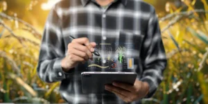 Agricultor usando tablet com gráficos digitais de crescimento de plantas e análise agrícola em campo de milho