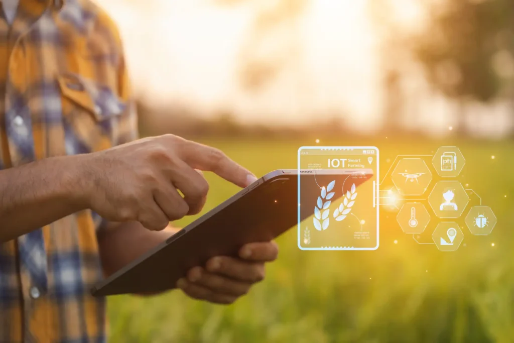 Pessoa usando um smartphone ao ar livre com ícones de tecnologia e IoT flutuando ao redor, incluindo uma tela com folhas de louro e elementos de agricultura digital.