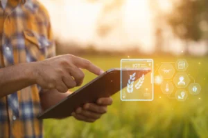 Pessoa usando um smartphone ao ar livre com ícones de tecnologia e IoT flutuando ao redor, incluindo uma tela com folhas de louro e elementos de agricultura digital.
