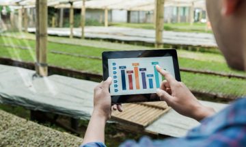 Consultar score de produtores do agro analises inteligentes