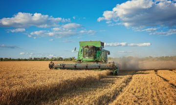 Score no agronegocio analise para produtores e revendas